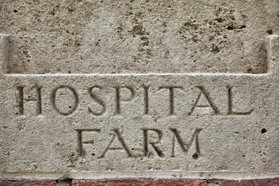 Hospital Farm Cemetery