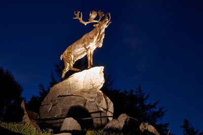 Newfoundland Park, Beaumont Hamel