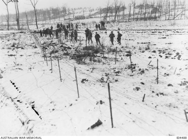 Ploegsteert Wood, Belgium. 26 December 1917. Men of the 22nd Battalion, laying down wire entanglements, behind the line at Ploegsteert Wood. Hill 63 is seen in the background. The men were living in hutments at Kortepyp Camp where Christmas Day was spent. The Battalion was in reserve and fatigue parties were sent forward daily by the light railway to Ploegsteert where wiring was carried out and extensive salvaging operations undertaken under the supervision of Major J. S. Dooley MC. The area was very quiet at this time and received only desultory shelling.