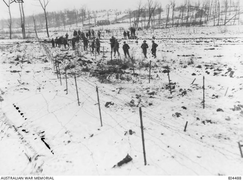Ploegsteert Wood, Belgium. 26 December 1917. Men of the 22nd Battalion, laying down wire entanglements, behind the line at Ploegsteert Wood. Hill 63 is seen in the background. The men were living in hutments at Kortepyp Camp where Christmas Day was spent. The Battalion was in reserve and fatigue parties were sent forward daily by the light railway to Ploegsteert where wiring was carried out and extensive salvaging operations undertaken under the supervision of Major J. S. Dooley MC. The area was very quiet at this time and received only desultory shelling.