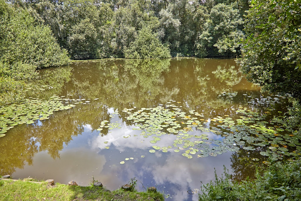 Lone Tree Cemetery, Spanbroekmolen Crater, Pool of Peace
